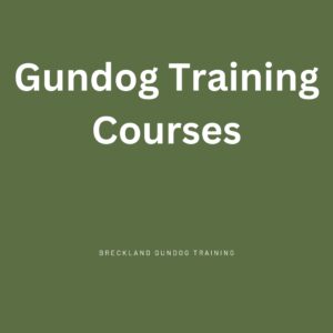 Gundog Training Courses