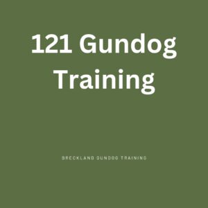 Gundog Training 121s