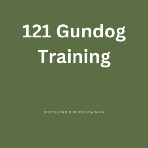 121 Gundog Training Sessions with Steve