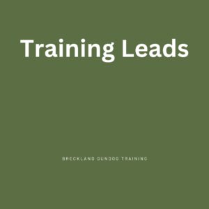 Training Leads
