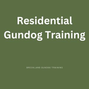 Residential Gundog Training