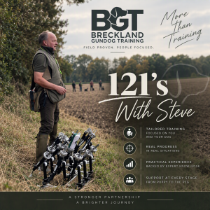 121 Training Sessions with Steve