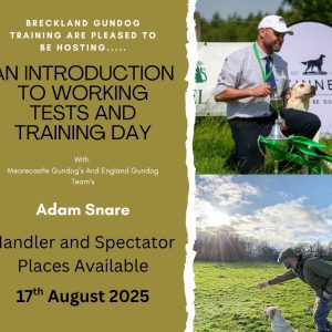 An Introduction to Working Tests and Training Day