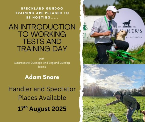 An Introduction to Working Tests and Training Day