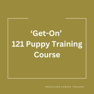 BGT's 'Get-On' 121 Puppy Training Course