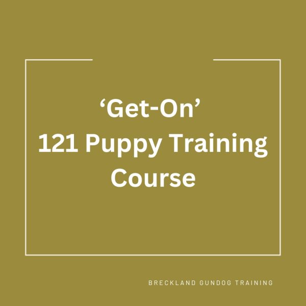 BGT's 'Get-On' 121 Puppy Training Course