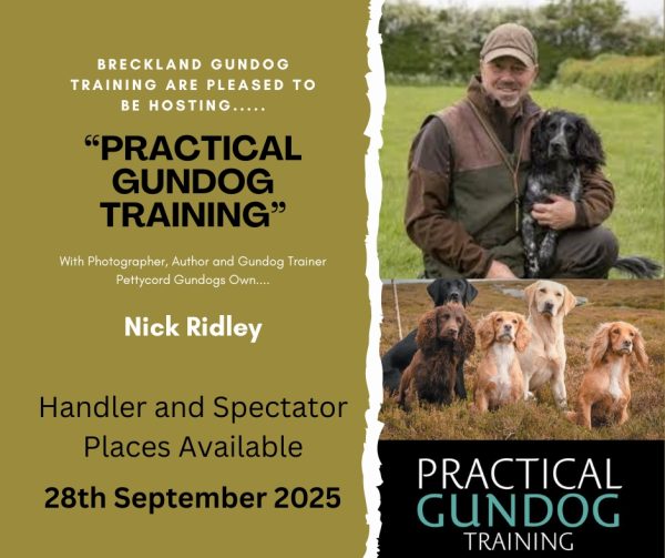 'Practical Gundog Training' Day - with Nick Ridley