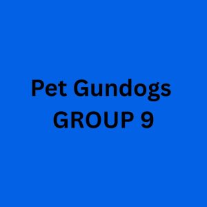 Sunday PET Gundogs - Group 9