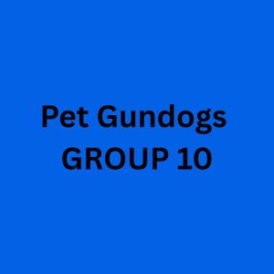 Sunday PET Gundogs - Group 10