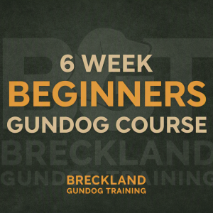 6 Week Beginners Gundog Course With Steve