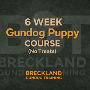 6 Week Puppy Gundog Course (NON TREAT BASED) With Steve