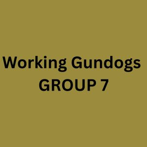 Sunday WORKING Gundogs - Group 7