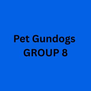 Sunday PET Gundogs - Group 8