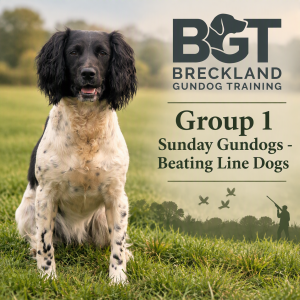 Sunday WORKING Gundogs - Group 1