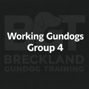Sunday WORKING Gundogs - Group 4