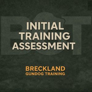 Initial Training Assessment