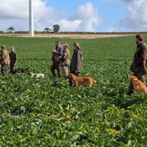 2026/1 Live Game Training Day