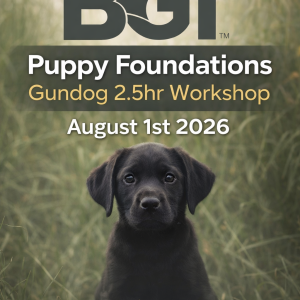 BGT™ Puppy Foundations Gundog 2.5hr Workshop on August 1st 2026
