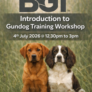 BGT™ Gundog Introduction 2.5hr Workshop on July 4th 2026