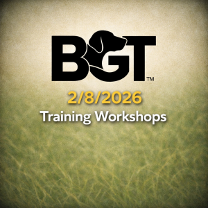 2nd August Gundog Training Workshops