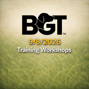 9th August Gundog Training Workshops