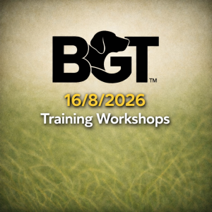 16th August Gundog Training Workshops