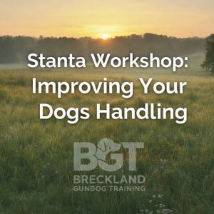 Stanta Workshop: Improving Your Dogs Handling With Steve