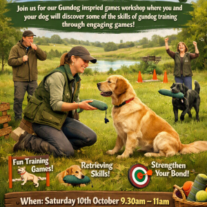 Learn, Play & Retrieve: Pet Gundog Games Introduction Workshop With Emily