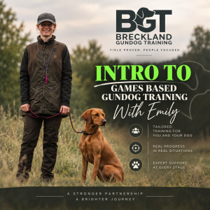 Learn, Play & Retrieve: Gundog Games For Pet Dogs Introduction Workshop With Emily