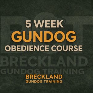 5 Week 'Gundog' Obedience Course