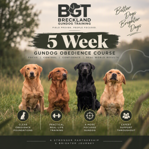 5 Week 'Gundog' Obedience Course
