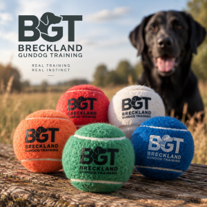 BGT Gundog Training Tennis Balls