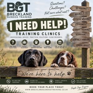 BGT's 'I NEED HELP' Drop-In Training Clinics